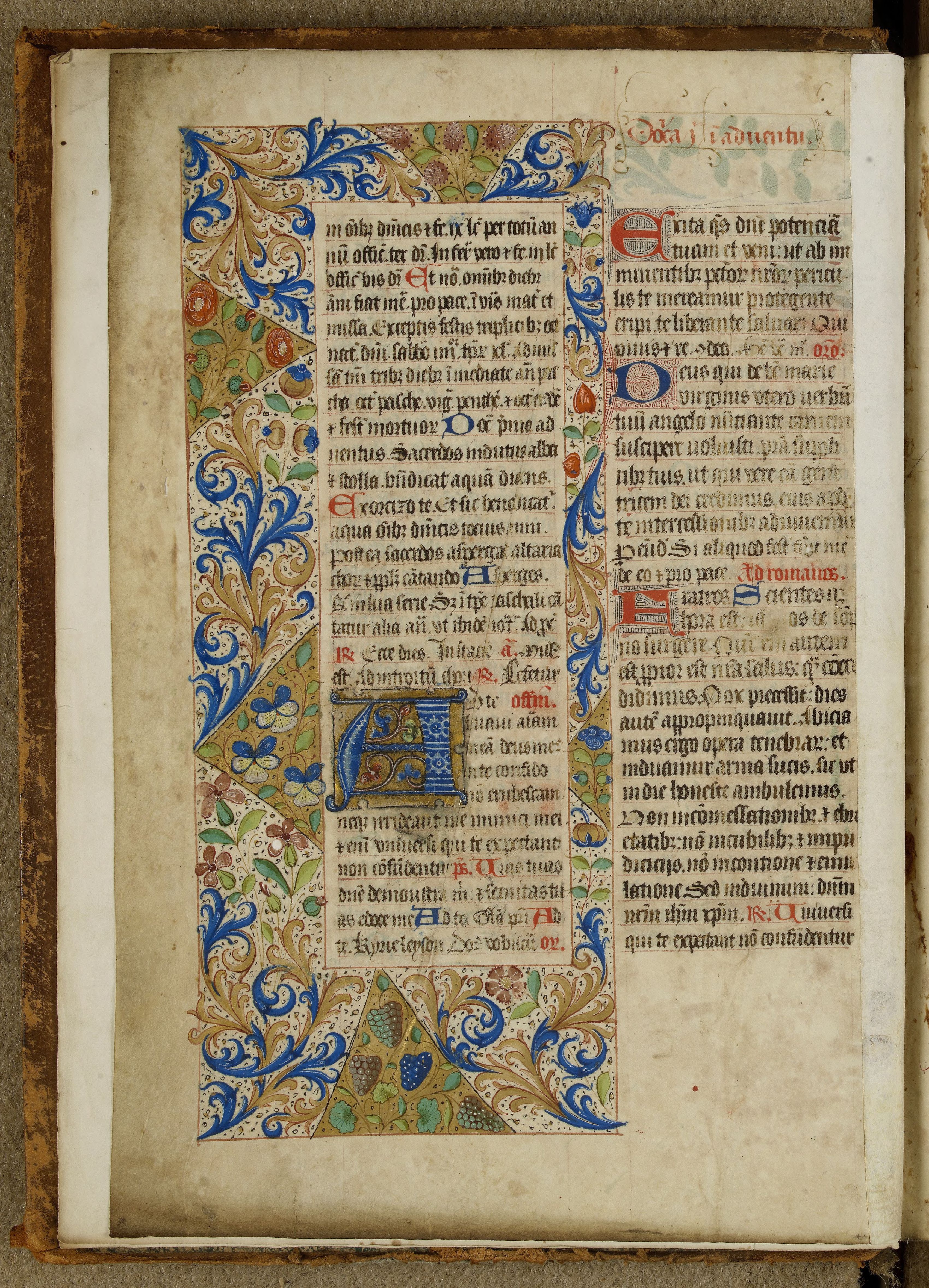 Décor de rinceaux de feuillages et de fruits. Liber missarum secundum usum Rothomagensem studiose compositus, 1450, f. 1 v°. Le Havre, bibliothèque municipale, Ms 325