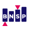 BNSP-Insee
